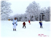 ���J�f�����ڗ��i��j