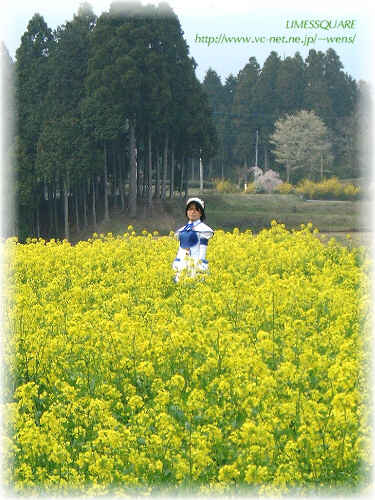 �ԂƂ�������B�i���j