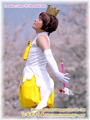 ����͔����B