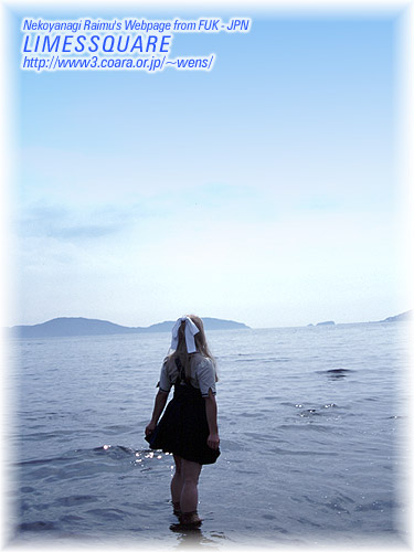 �ɂ͂͏΂��ƃR�X���P�͔F�߂��Ă�񂾂悧�`