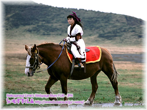 ���Ȃ͈��h�ŕ�炵�Ă��܂��B