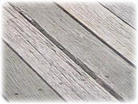 �Ȃ񂩎��s���ĎB������